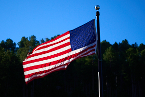 American Flag LVS00001